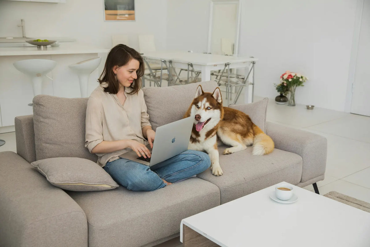 femme assise sur son canapé devant son ordinateur, son chien est à coté